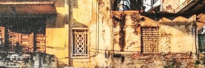 José Manuel Roche banner