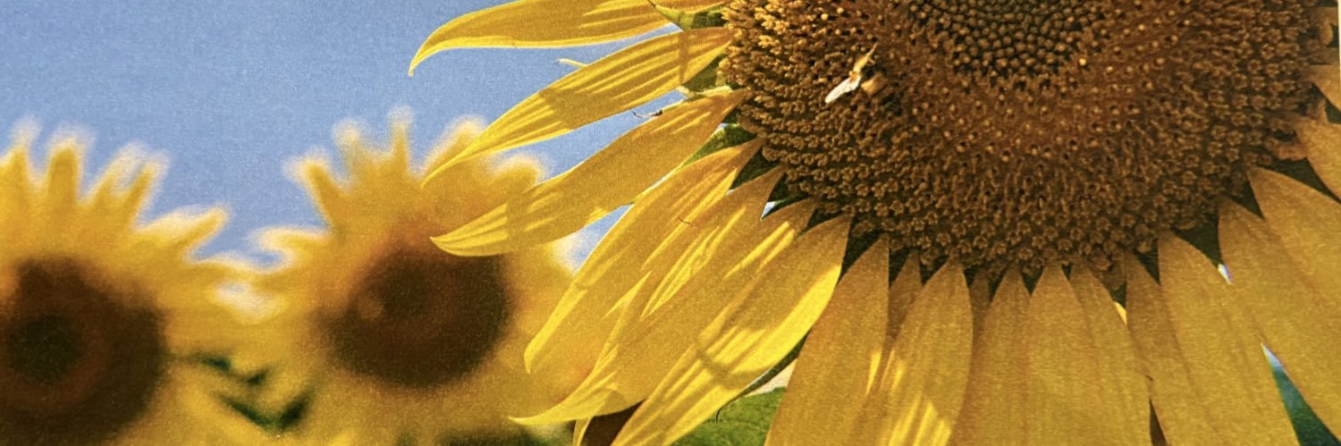 msy_2122's profile banner image