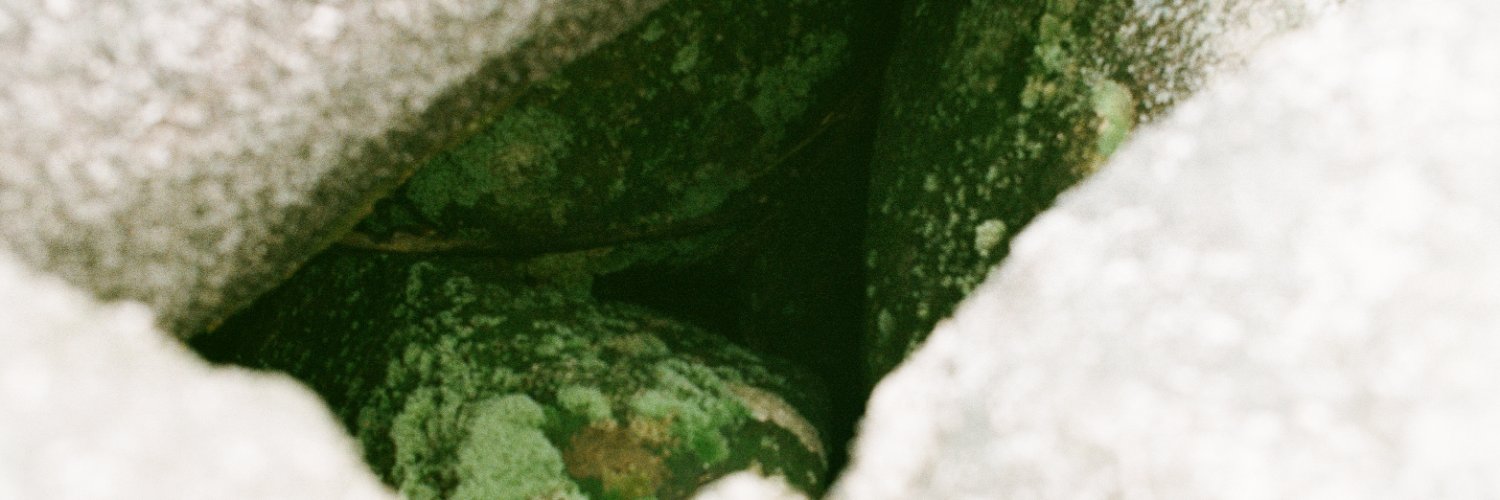rickyfappy's profile banner image
