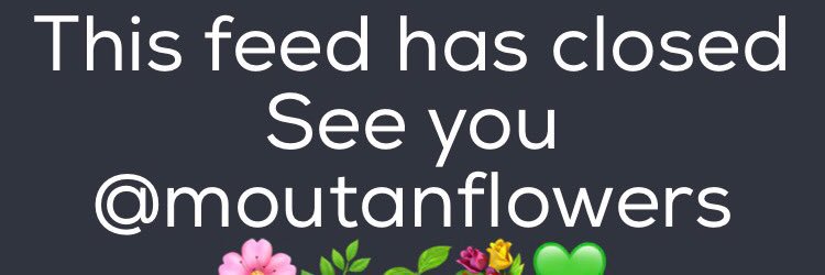 MoutanInOut's profile banner image