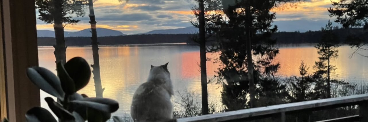 mormerin's profile banner image