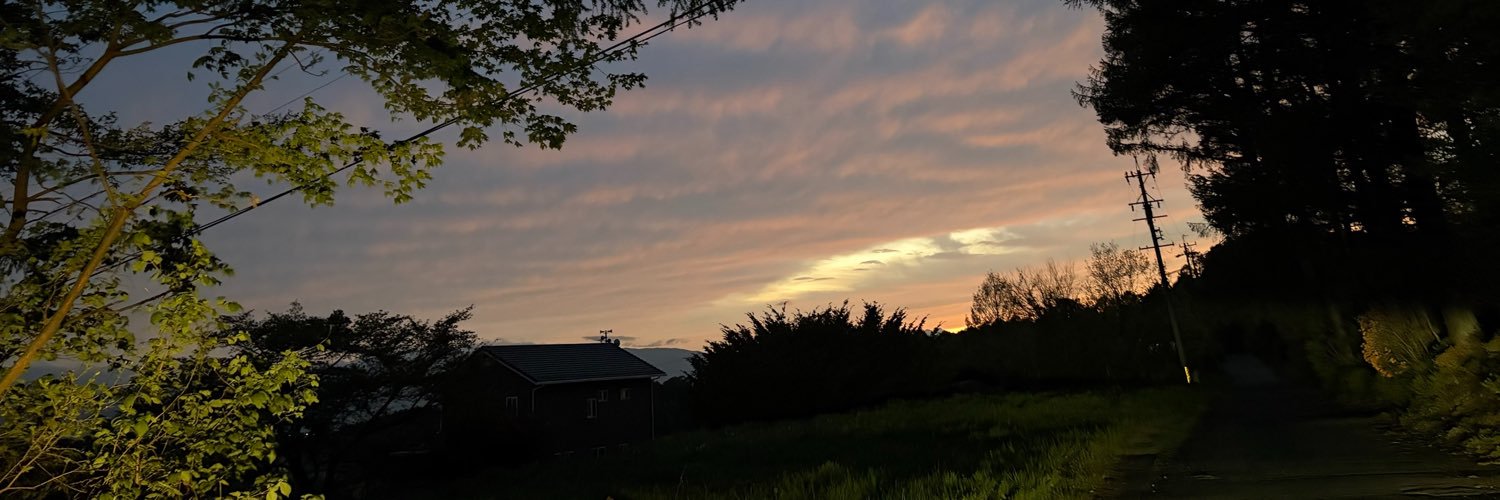 pl_s10's profile banner image