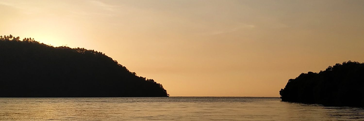 crarissaa's profile banner image