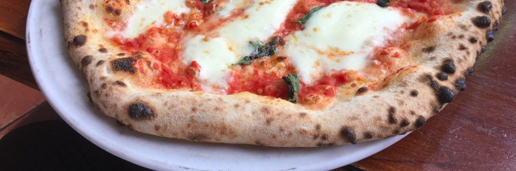 Steven Lipton banner