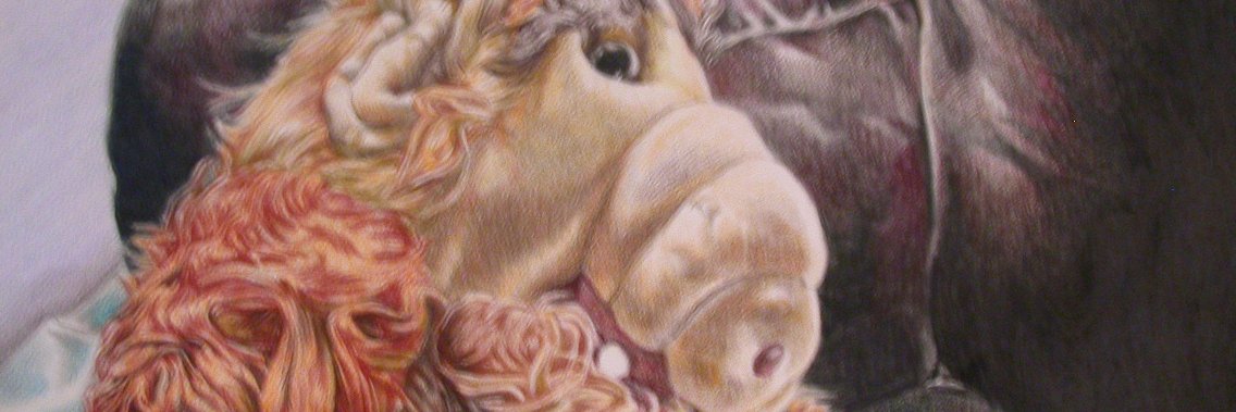 sequinn illustration banner