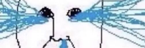 东雪莲Unofficial banner
