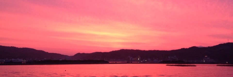 0820Ring's profile banner image