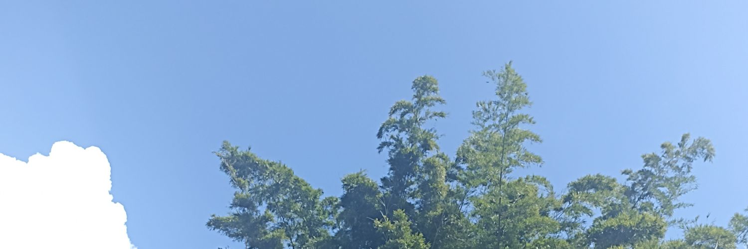 rmoyano78's profile banner image
