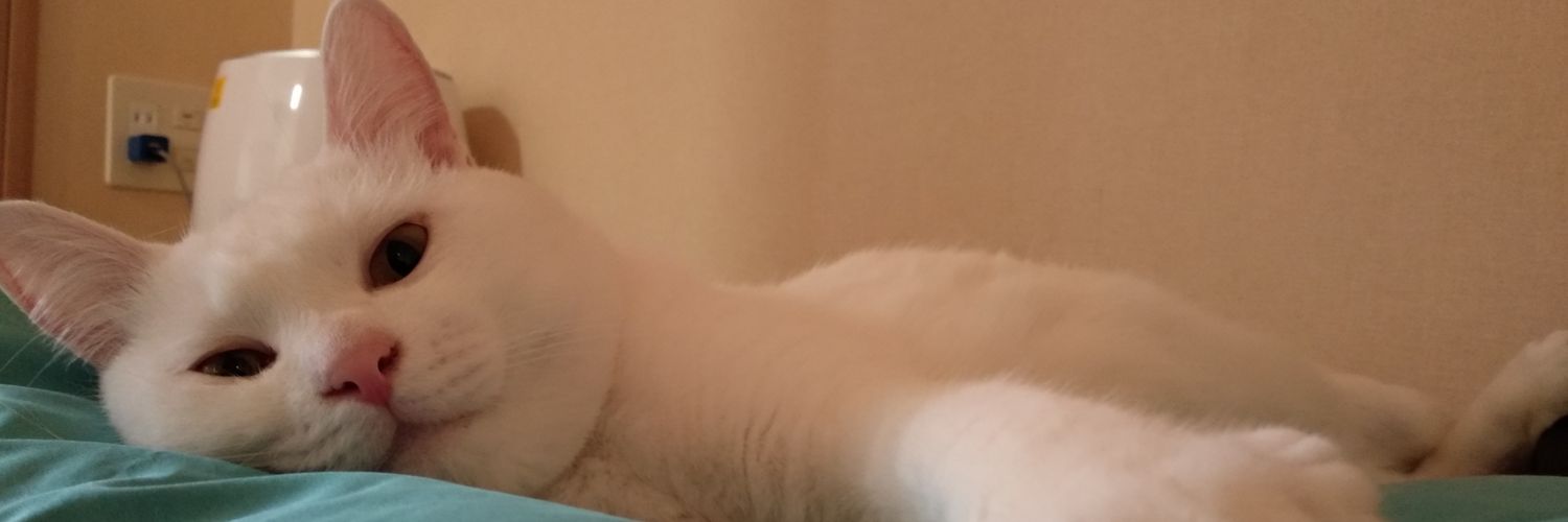 darkmoon041's profile banner image
