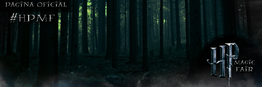 HPMagicFair's profile banner image