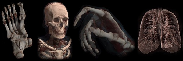 falconMD_Viewer Profile Banner