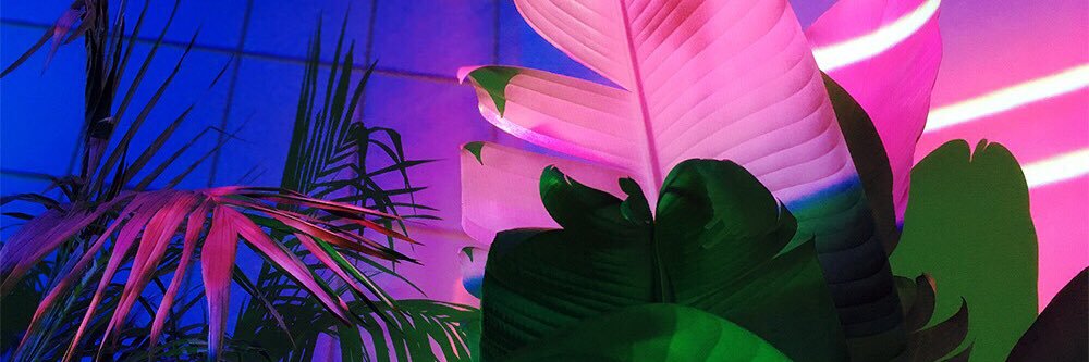 litbeex's profile banner image