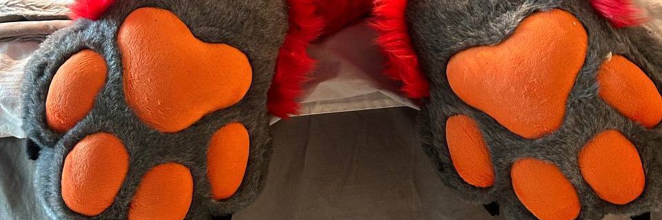 X-ray-The-Proot NFC🐾 banner