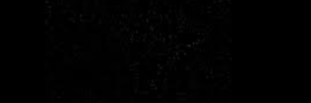 Lilly Leichliter banner