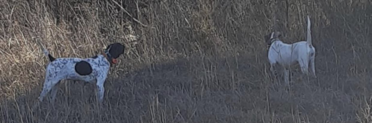 Garrett35Sipe's profile banner image