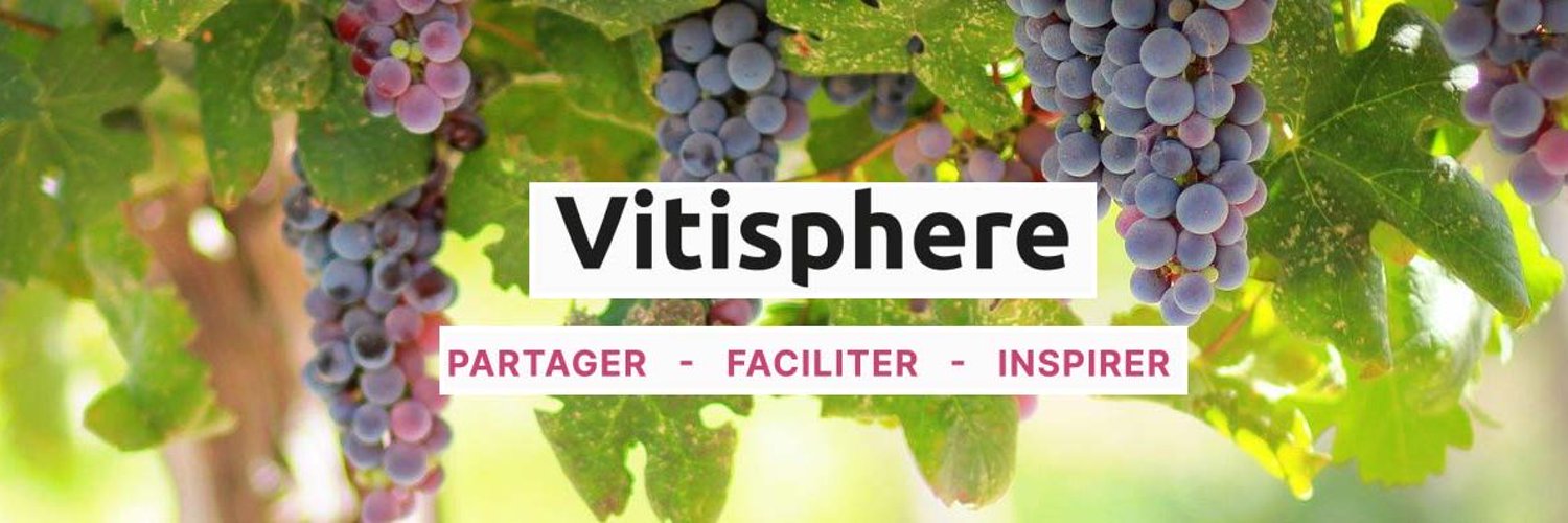 Vitisphere-La Vigne Profile Banner