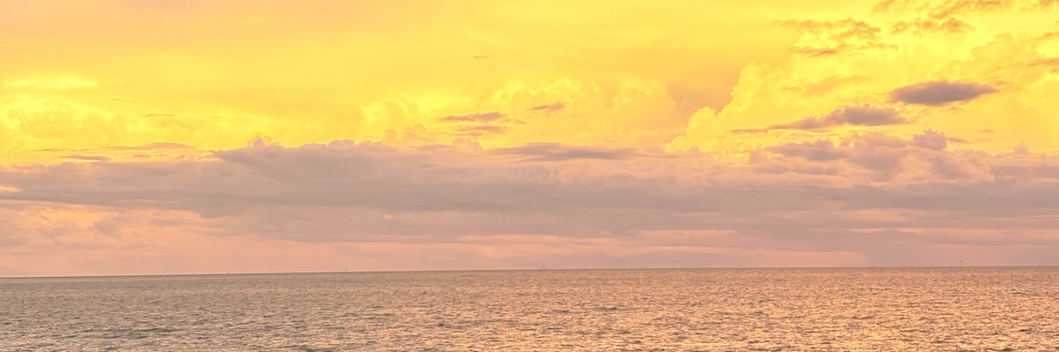 hehaichii's profile banner image