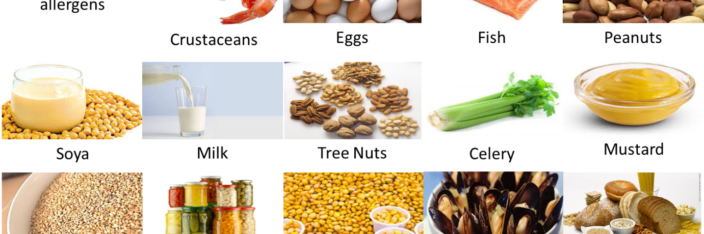 FoodFreedom01's profile banner image