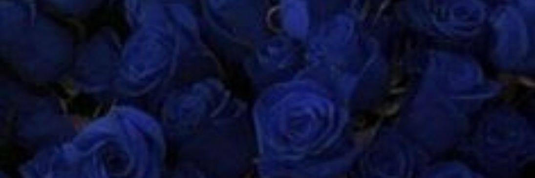 _akishou's profile banner image