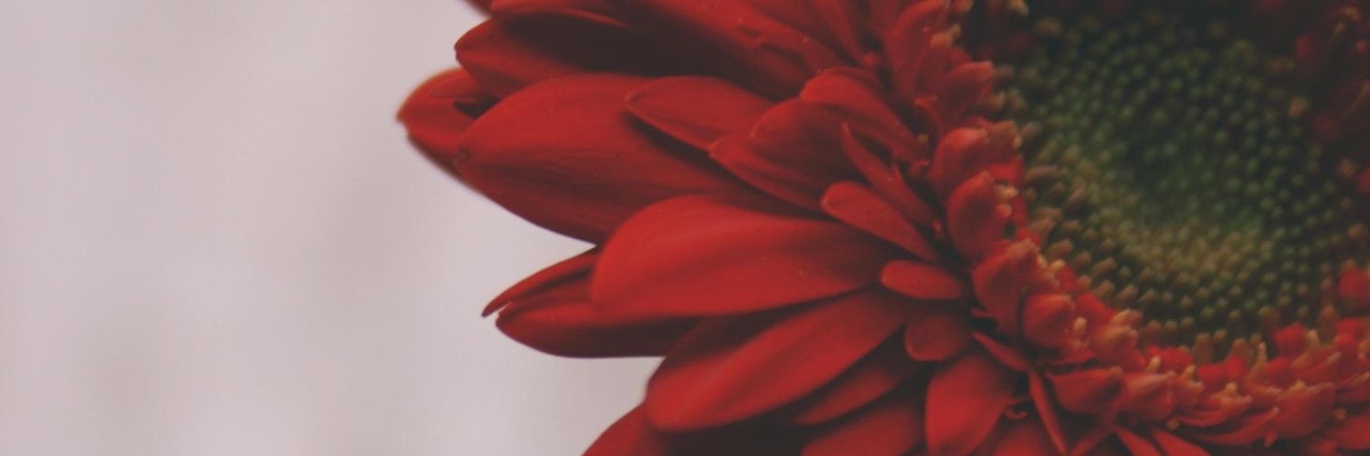 Pammi286's profile banner image