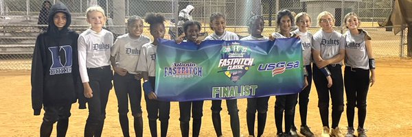 LadyDukesSims Profile Banner