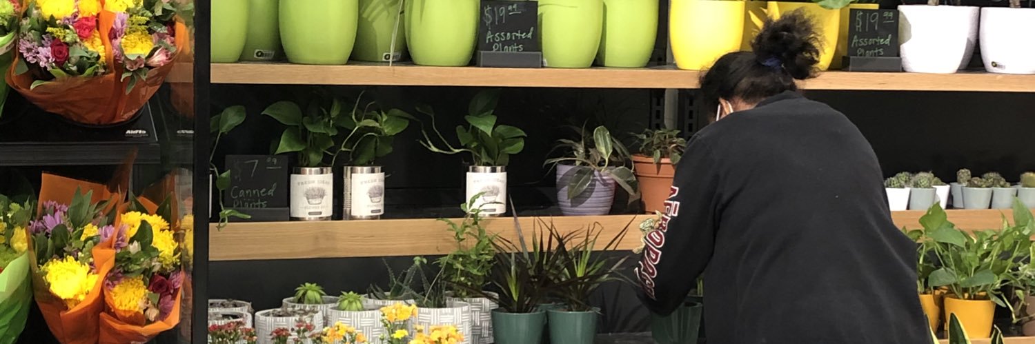 auntiecheeks's profile banner image