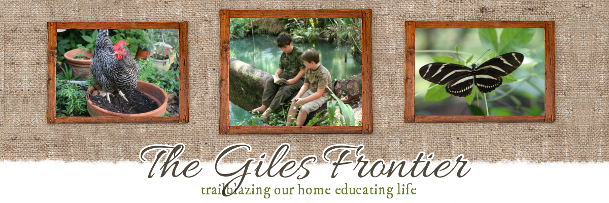 GilesFrontier's profile banner image