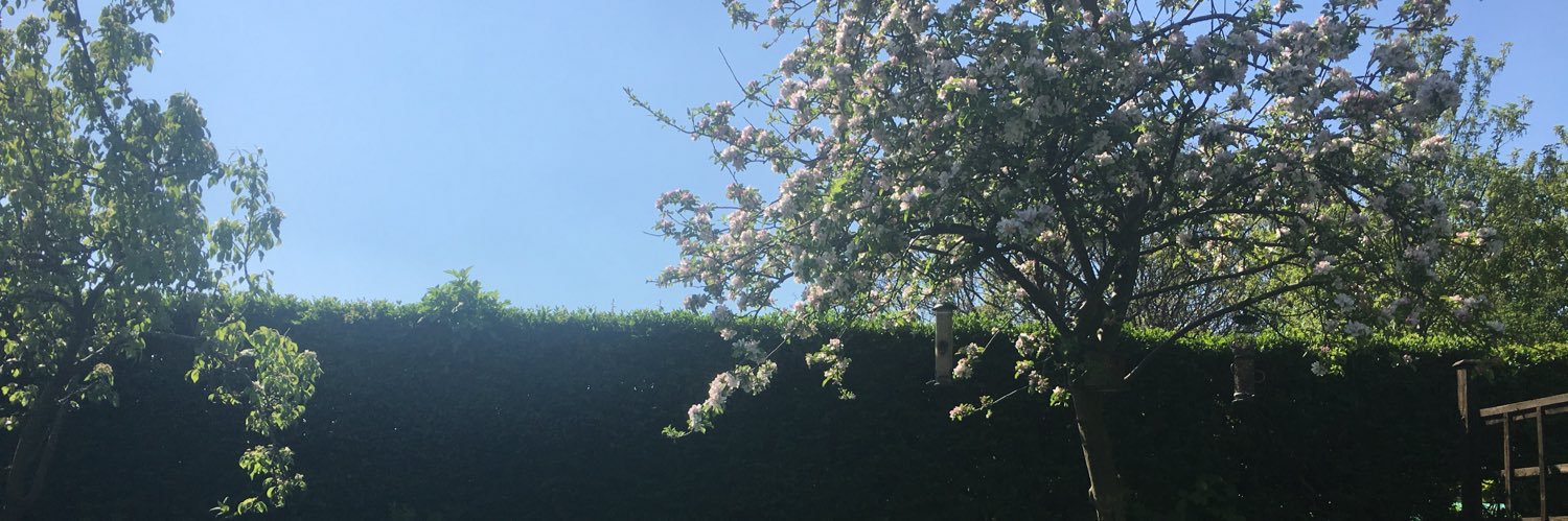 emotional support displacer beast banner