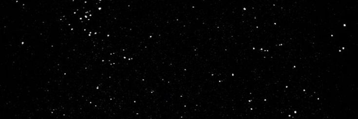 ✿ | 𝔉𝔯𝔢𝔢𝔰𝔦𝔞 𓂃 banner