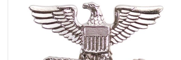 rook264 Profile Banner