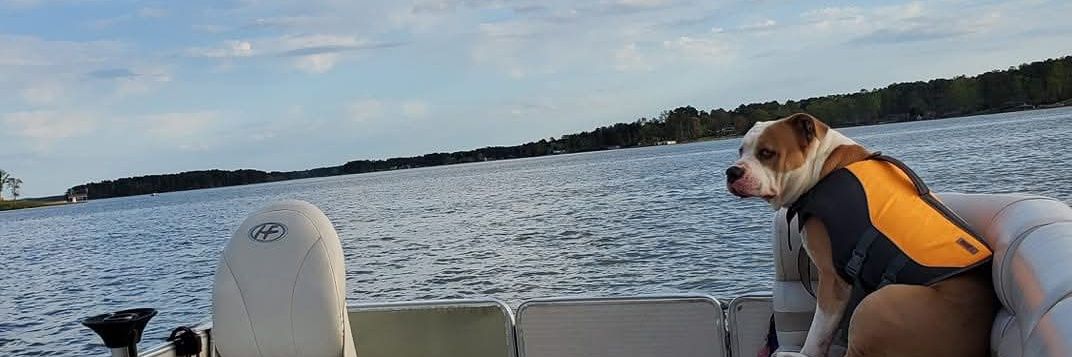 FENCEGENERAL 🛡 banner