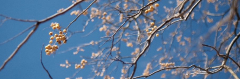 長編映画『はらむひとびと』's banner