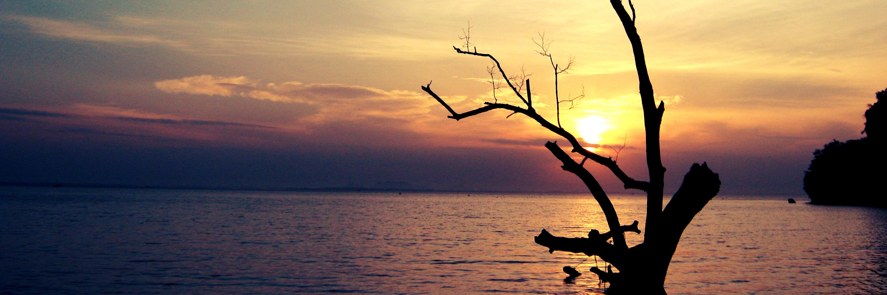 rowmath's profile banner image