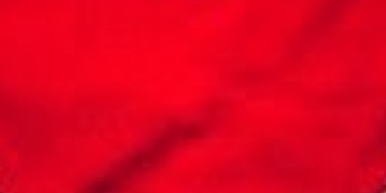 fursebear's profile banner image