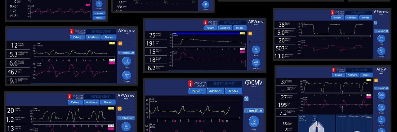 Daniel Rozenbaum banner