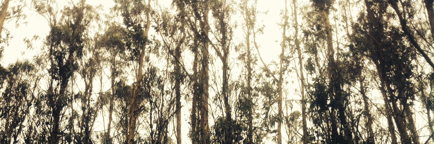 Samcracio's profile banner image