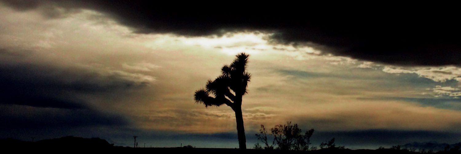 Christa Barberis banner