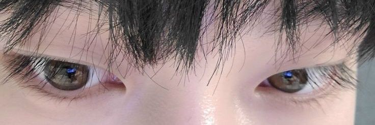sevi. banner