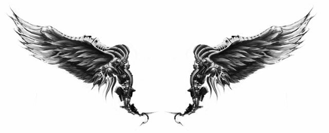 Twitter banner for @rodex17
