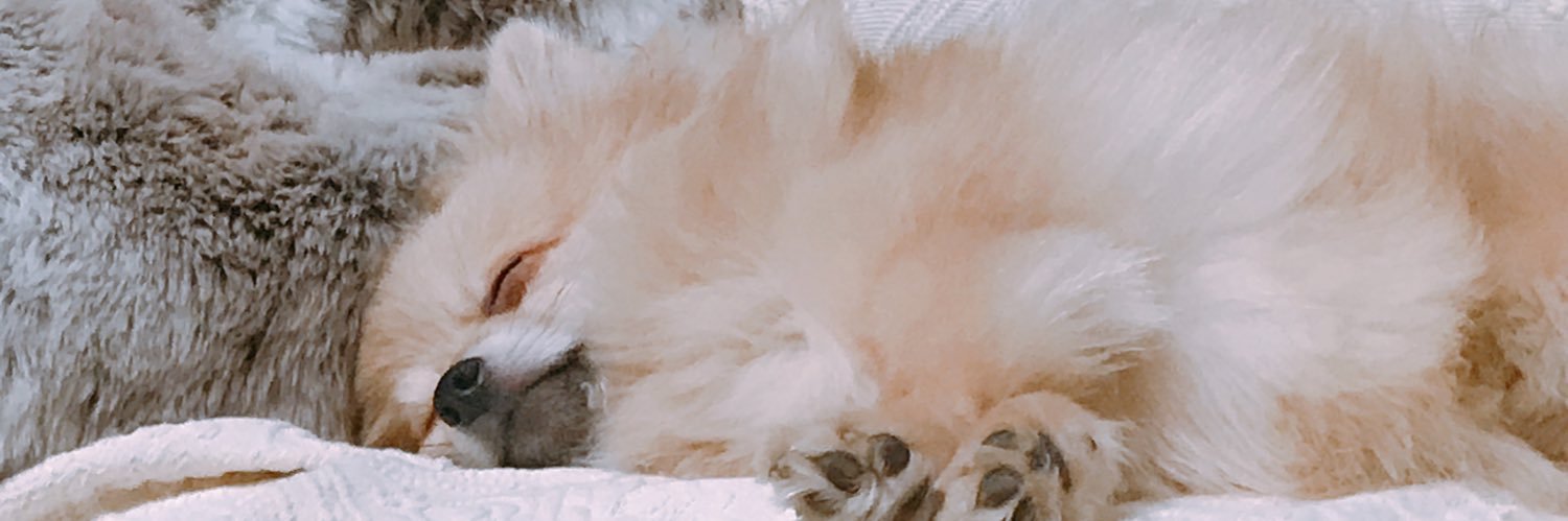 37 banner