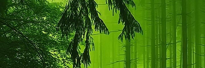 2942Fahmi's profile banner image