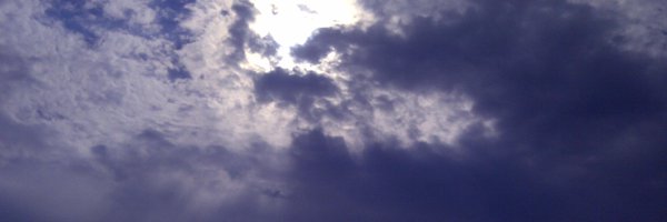 LeitShelly Profile Banner
