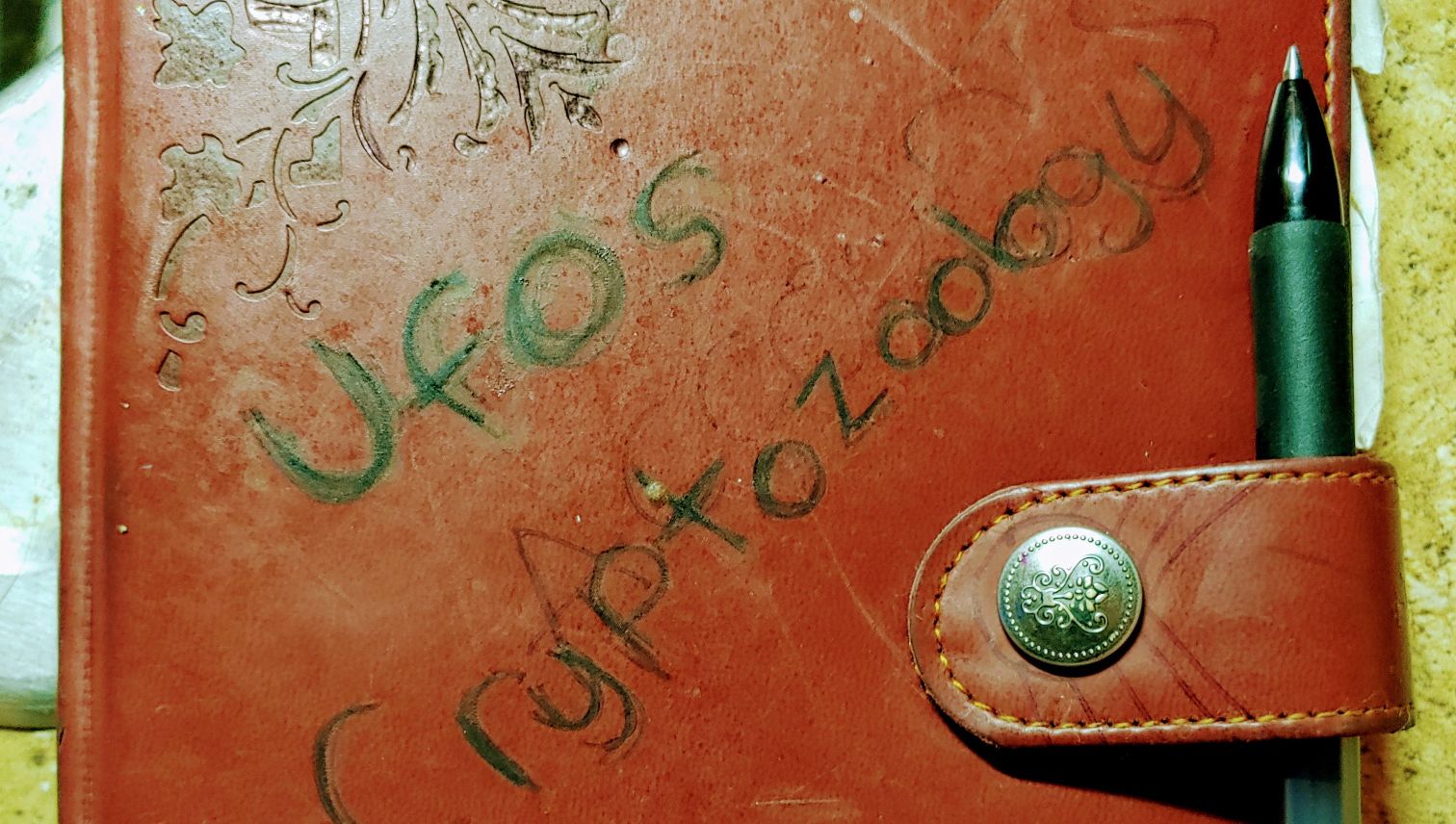 Fozzbo's profile banner image