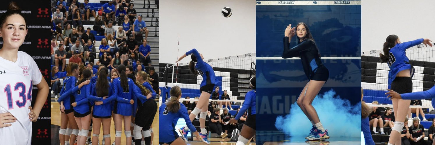 Bailey Lambert banner
