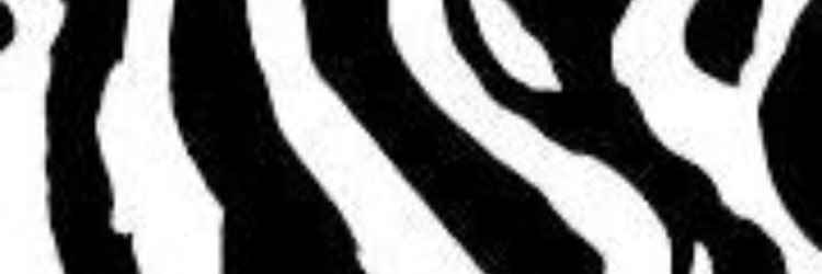 AZebra banner