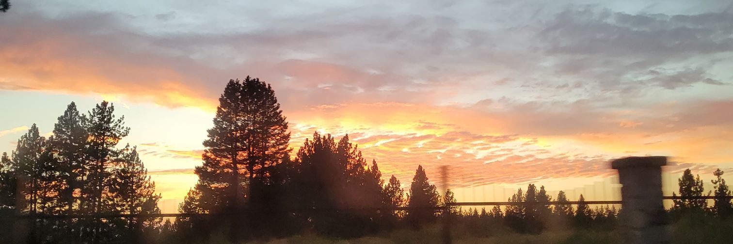 tbearthethird's profile banner image