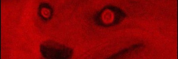 LilyFlowerPink Profile Banner