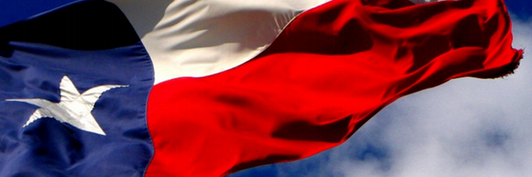 Texas Courts Profile Banner