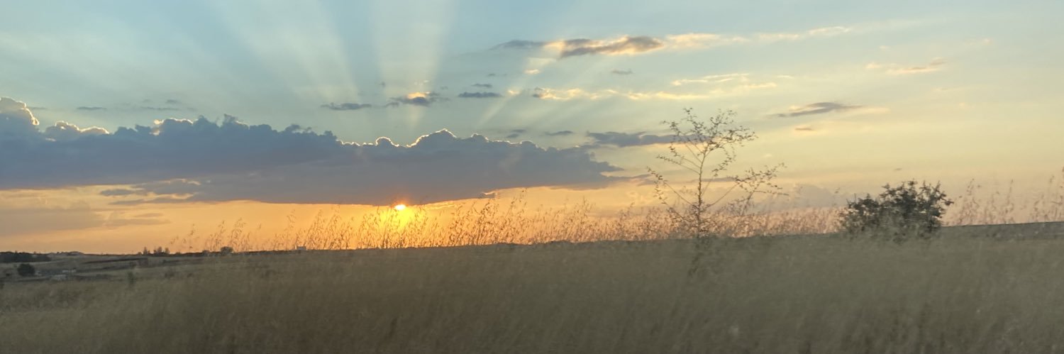 PatriSmiley's profile banner image