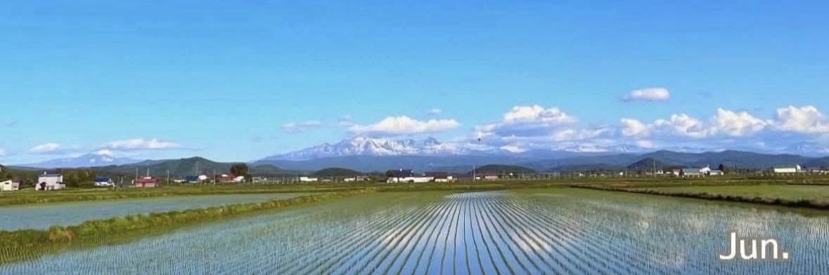 yuxttchi's profile banner image